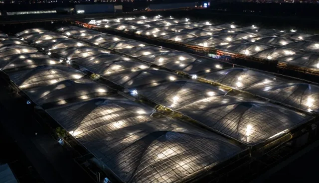 信息技术咨询中技术支持的选型与维护建议